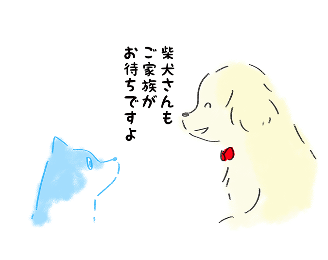 「柴犬さんもご家族がお待ちですよ」