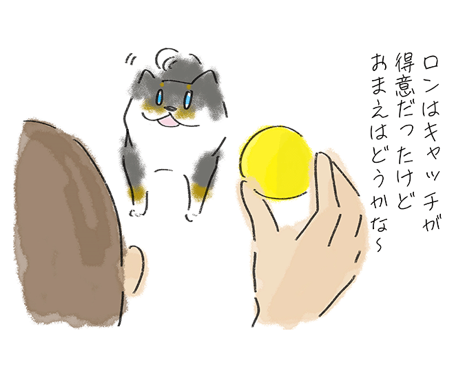 「ロンはキャッチが得意だったけど、お前はどうかなー」