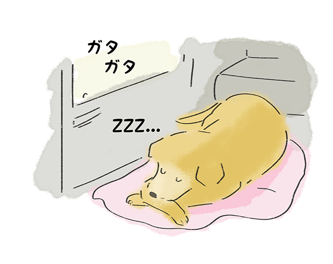 ガタガタ ZZZ・・・