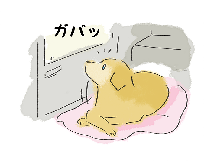 ガバッ