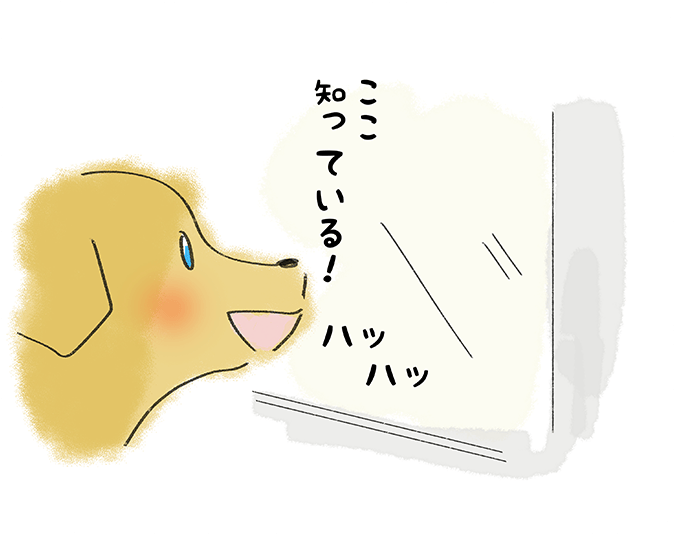 ここ知っている！ハッハッ