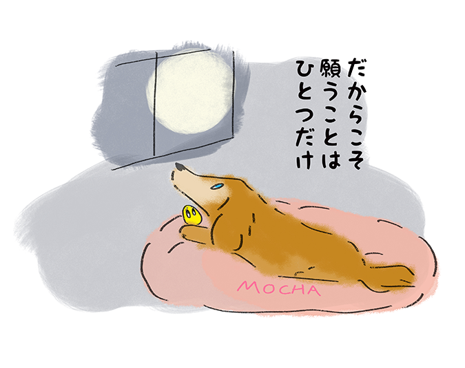 だからこそ願うことはひとつだけ