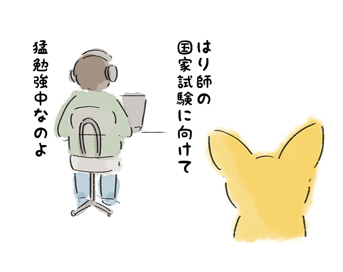 「はり師の国家試験に向けて猛勉強中なのよ」