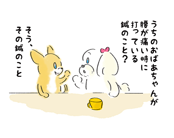 「うちのおばあちゃんが腰が痛い時に打っている鍼のこと？」「そう、その鍼のこと」