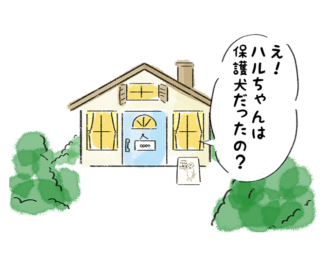 「え！ハルちゃんは保護犬だったの？」