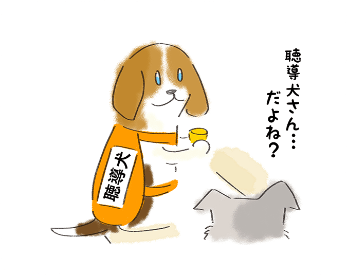 「聴導犬さん・・・だよね？」