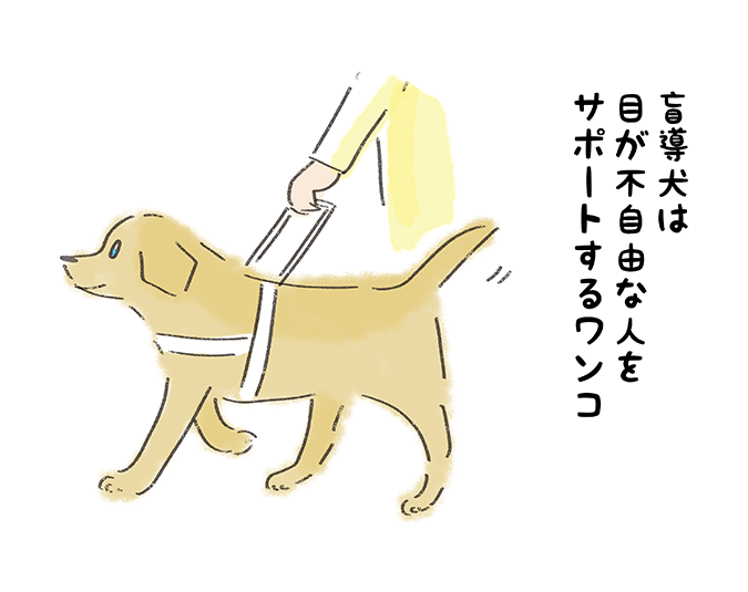 「盲導犬は目が不自由な人をサポートするワンコ」