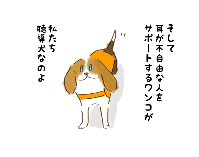 「そして耳が不自由な人をサポートするワンコが私たち聴導犬なのよ」