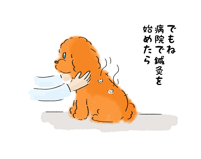 「でもね病院で鍼灸を始めたら」