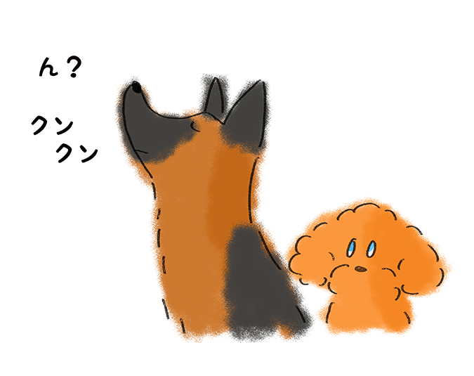 「ん？」クンクン