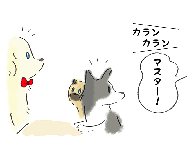 カランカラン「マスター！」