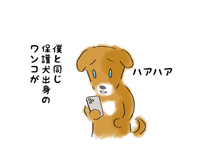 ハァハァ「僕と同じ保護犬出身のワンコが」