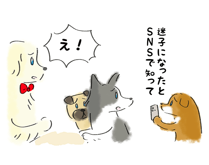 「迷子になったとSNSで知って」「え！」