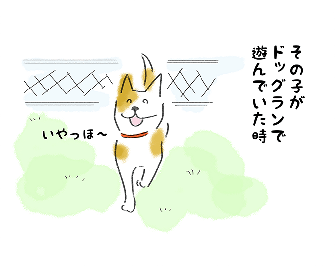 「その子がドッグランで遊んでいた時」いやっほー