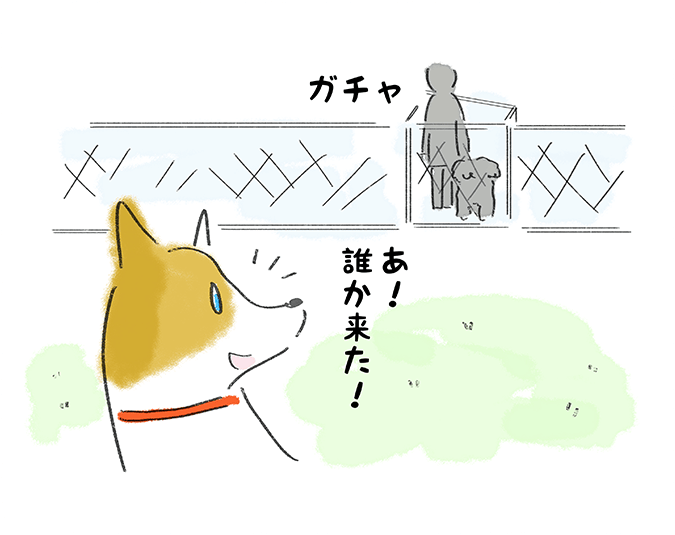 「あ！誰か来た！」ガチャ