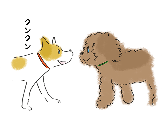 クンクン