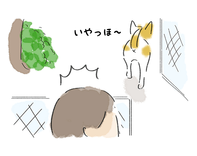 いやっほー
