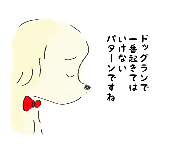 「ドッグランでは一番起きてはいけないパターンですね」