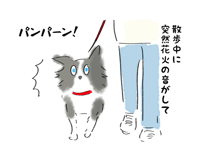 「散歩中に突然花火の音がして」パンパーン！