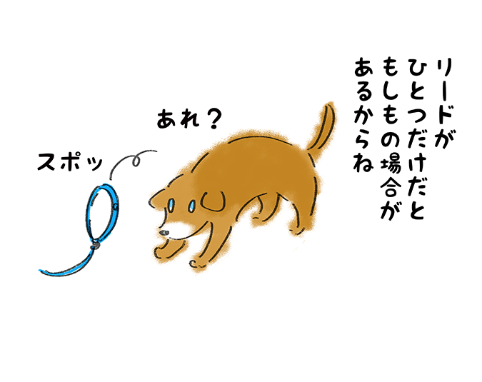 「リードがひとつだけだともしもの場合があるからね」スポッ