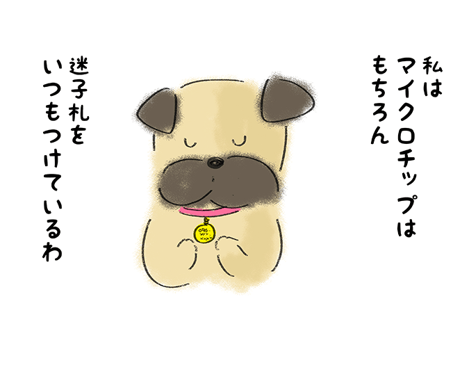 「私はマイクロチップはもちろん迷子札をいつもつけているわ」