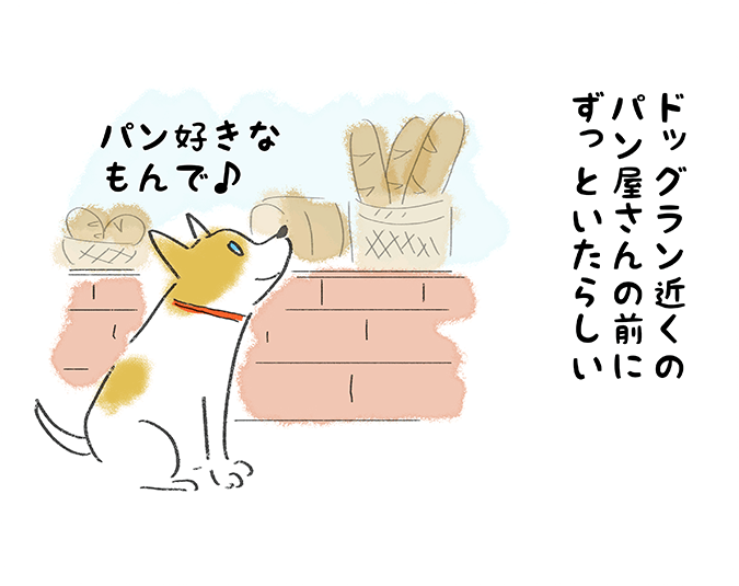 「ドッグラン近くのパン屋さんにずっといたらしい」パン好きなもんで