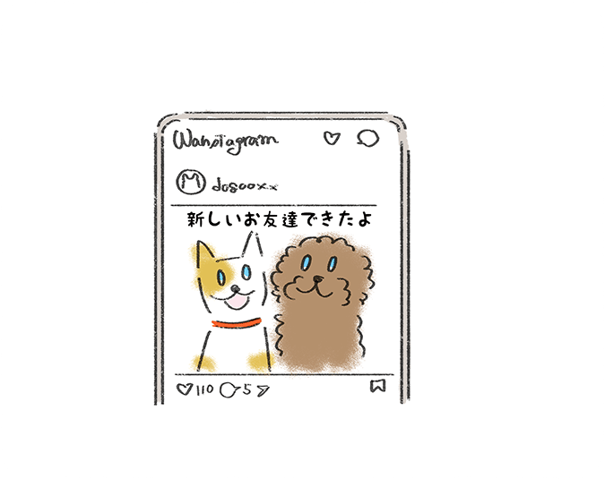 新しいお友達できたよ