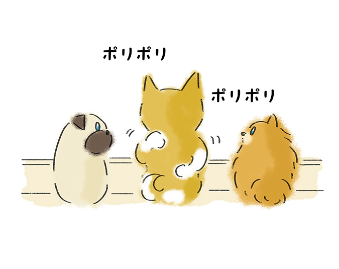 ポリポリ ポリポリ