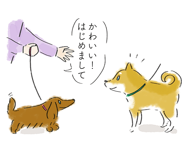 『かわいい！はじめまして』