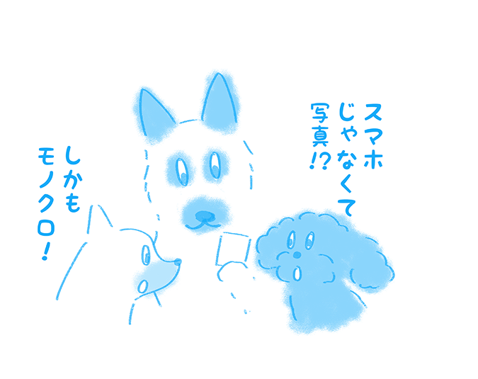『スマホじゃなくて写真！？』『しかもモノクロ！』