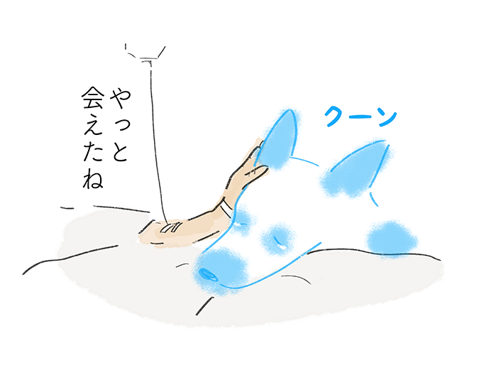 「やっと会えたね」『クーン』