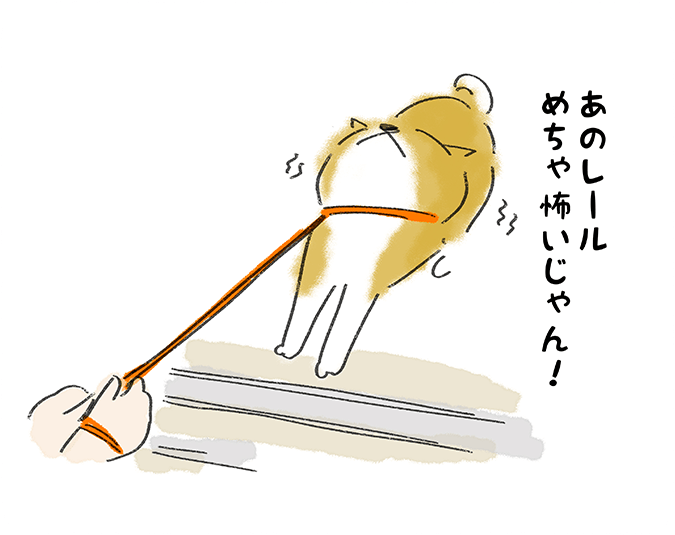 「あのレールめっちゃ怖いじゃん！」