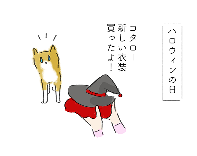 ハロウィンの日「コタロー新しい衣装買ったよ！」