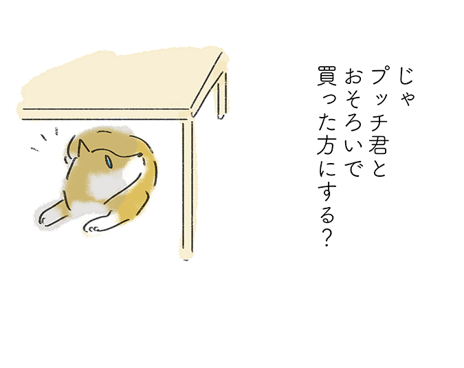 じゃプッチ君とおそろいで買った方にする？