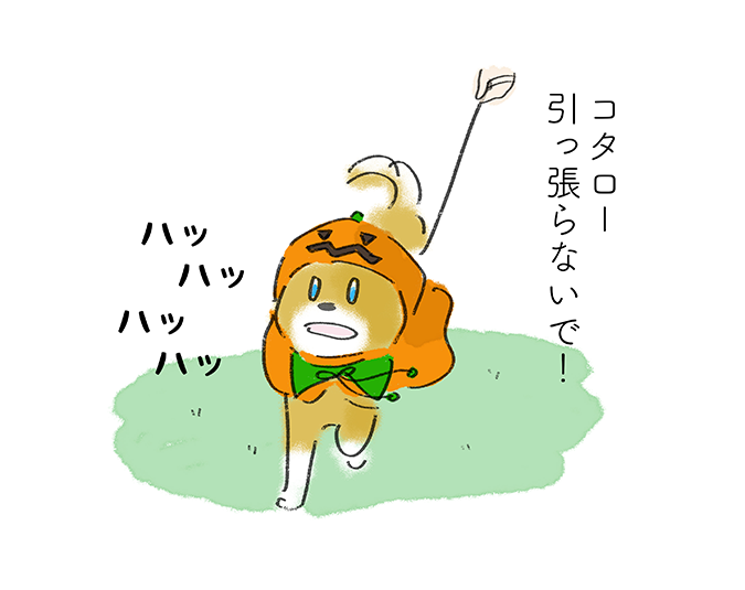 コタロー引っ張らないで！