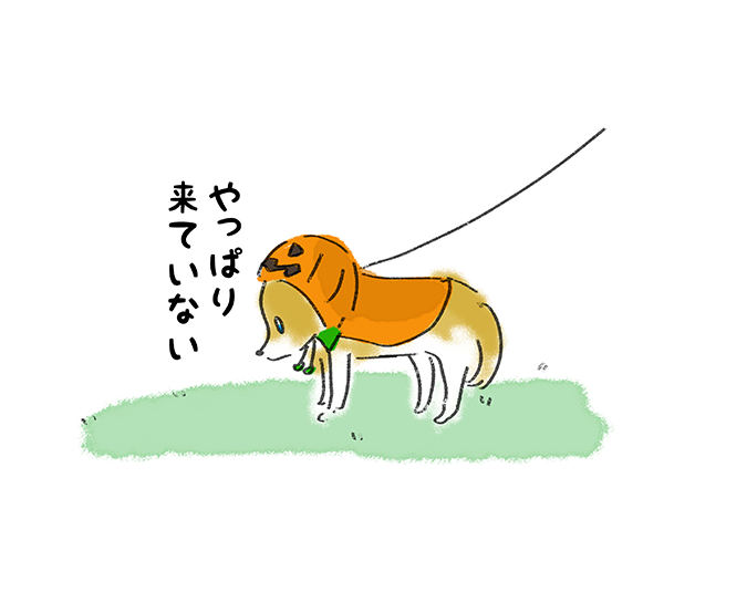 やっぱり来ていない