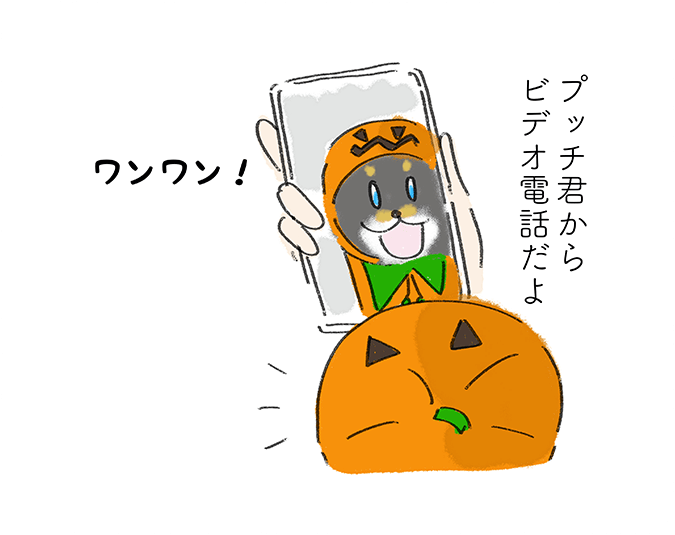 「プッチ君からビデオ電話だよ」「ワンワン！」