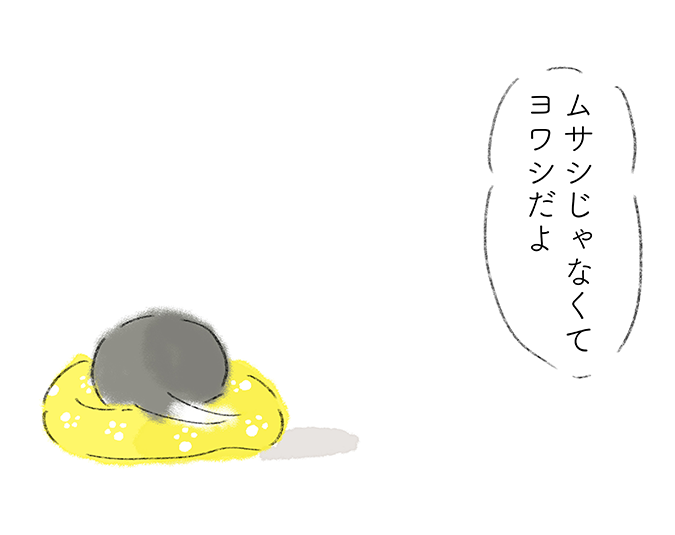 「ムサシじゃなくてヨワシだよ」