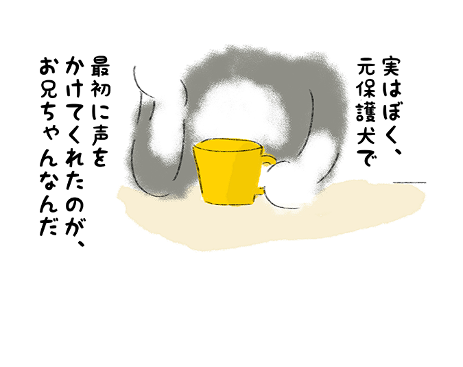 「実はぼく、元保護犬で 最初に声をかけてくれたのが、お兄ちゃんなんだ」