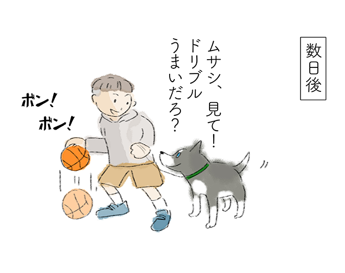 【数日後】「ムサシ、見て！ドリブルうまいだろ？」