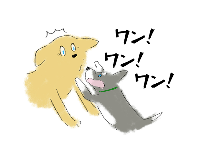 「ワン！ワン！ワン！」