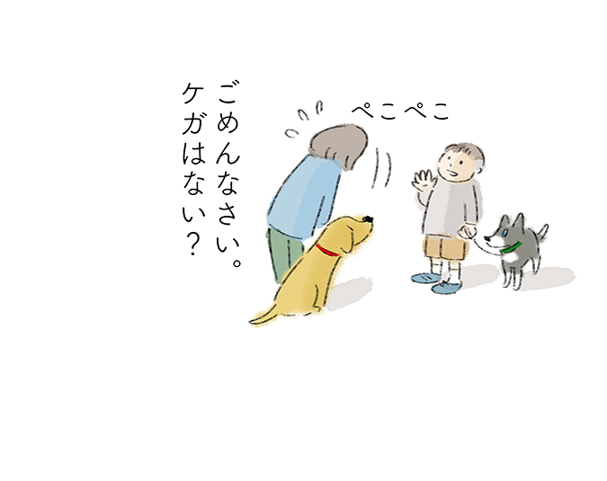 ぺこぺこ「ごめんなさい。ケガはない？」