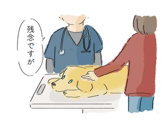 「残念ですが」