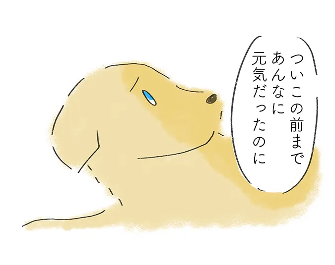 「ついこの前まであんなに元気だったのに」