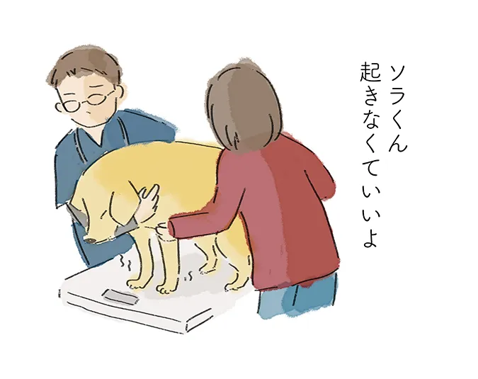 「ソラくん 起きなくていいよ」