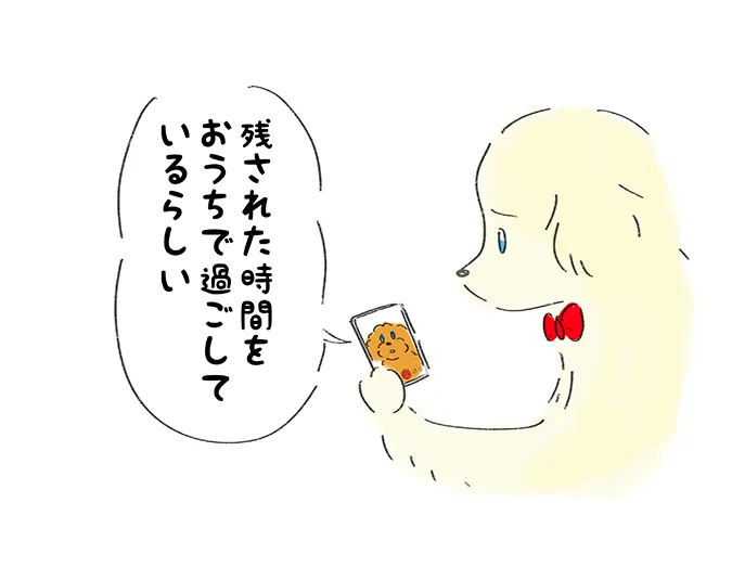 「残された時間をおうちで過ごしているらしい」