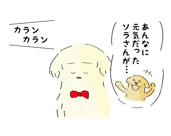 「あんなに元気だったソラさんが…」＼カランカラン／