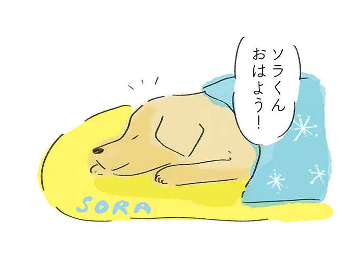 「ソラくん おはよう！」