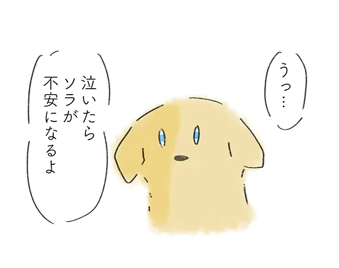 「うっ」「泣いたらソラが不安になるよ」