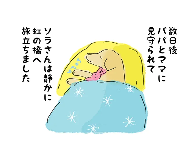 「数日後 パパとママに見守られて ソラさんは静かに虹の橋へ旅立ちました」